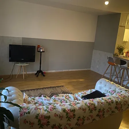 Apartment Entier Aussonne